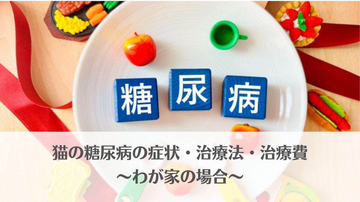 「猫の糖尿病の症状・治療法・治療費～わが家の場合～」のアイキャッチ画像